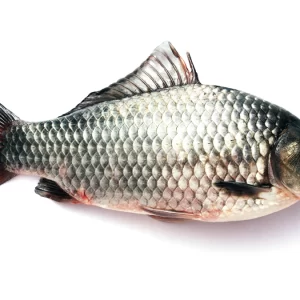 Peixe